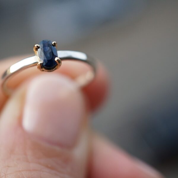 Blue Sapphire Crown Jewel Ring